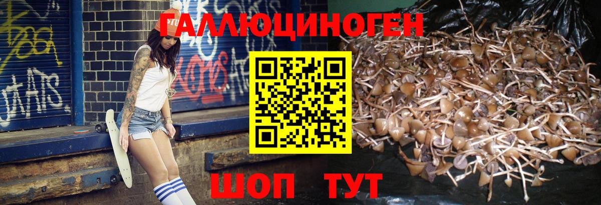 Псилоцибиновые грибы ЛСД  Галлюциногенные грибы мицелий  Вход с VPN  Калач-на-Дону 