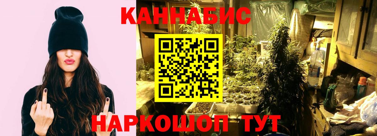 Калач-на-Дону  Канабис ГИДРОПОН  Вход с VPN  Бошки Шишки White Widow  МАРИХУАНА конопля  Шишки марихуана Ganja 